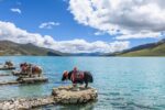 Tibet04