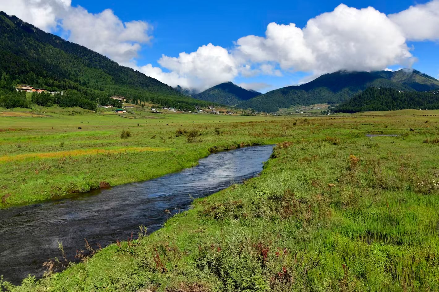 崗堤自然步行徑 Gangtey Nature Trail