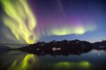 Arctic_WhyDeWonder_4