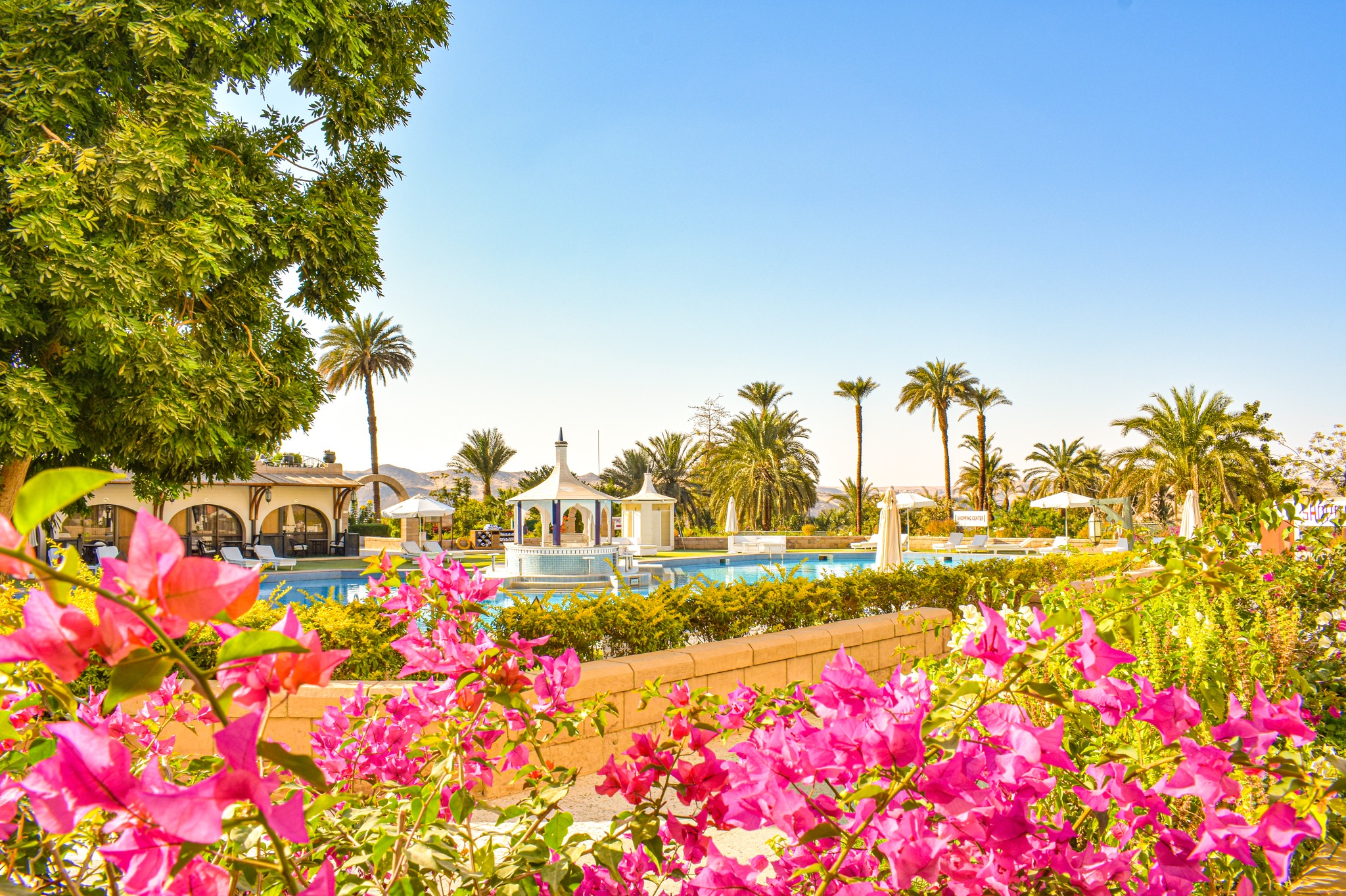 Basma Aswan Hotel 阿斯旺巴斯瑪酒店