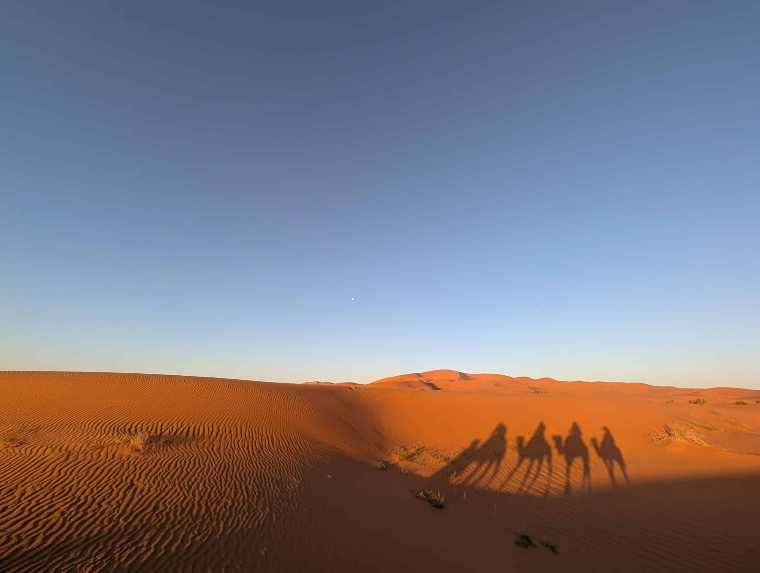 morocc_sahara02