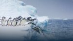 Antarctica1