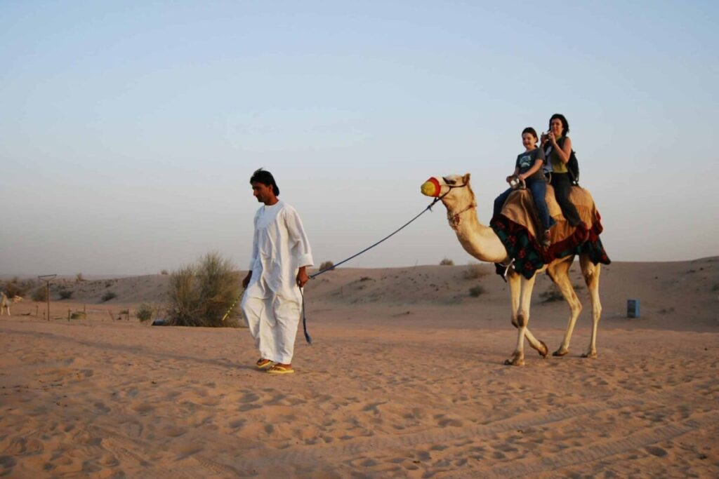 egypt_camel